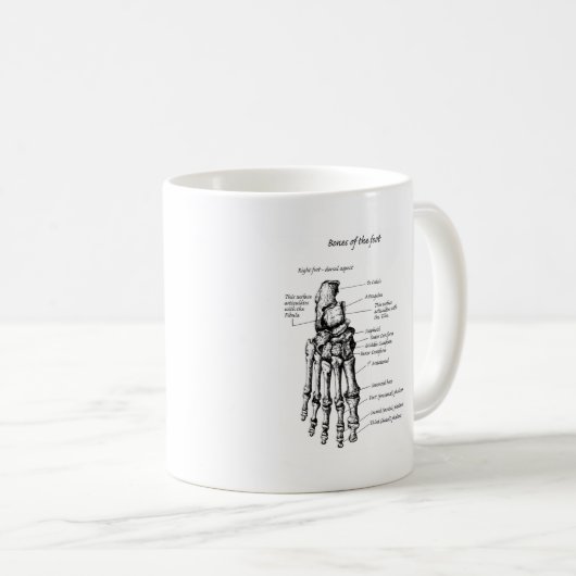 Details der Knochen der Füße Kaffeetasse (VorderseiteRechts)