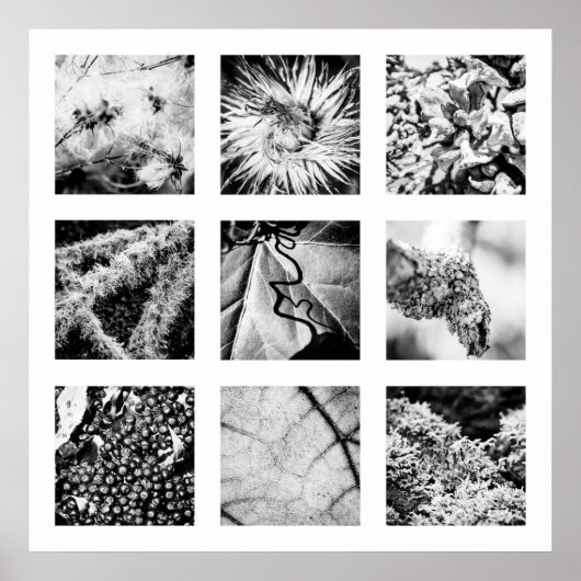 Details der Reihe Natur - Details Plakat (Vorne)