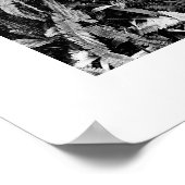 Details der Reihe Natur - Ferns Poster (Ecke)