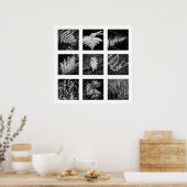 Details der Reihe Natur - Ferns Poster (Küche)