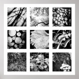 Details of Nature series - Forest poster