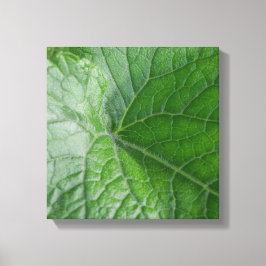 Details zur grünen Ledervene Leinwanddruck