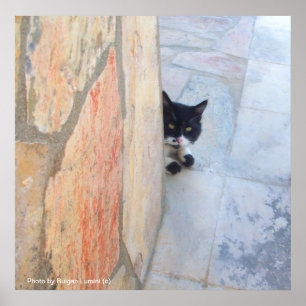 DETECTIVKATZE HINTER DER STEINMauer / Vatertag Poster