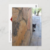 DETEKTIVE KATZE HINTER DER STEINWAND / Vatertag Postkarte (Vorne/Hinten)