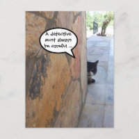 DETEKTIVE KATZE HINTER DER STEINWAND / Vatertag