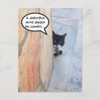 DETEKTIVE KATZE HINTER DER STEINWAND / Vatertag