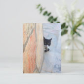 DETEKTIVE KATZE HINTER DER STEINWAND / Vatertag Postkarte (Stehend Vorderseite)