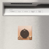 Detektivkameras Magnet (In Situ (Geschirrspüler))