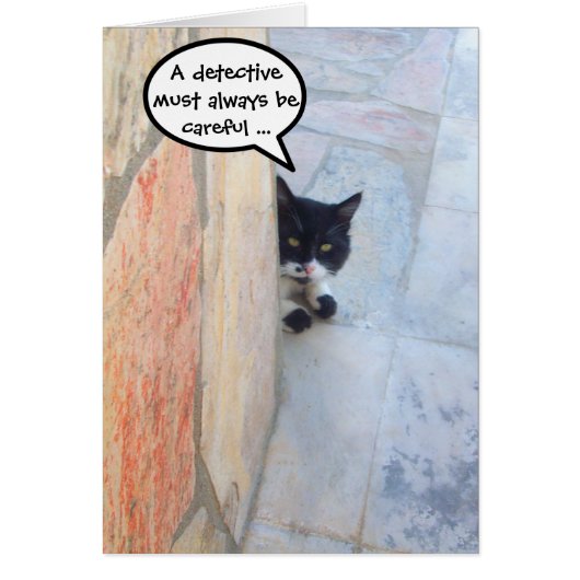 DETEKTIVKATZE HINTER DER STEINMauer (Vorne)
