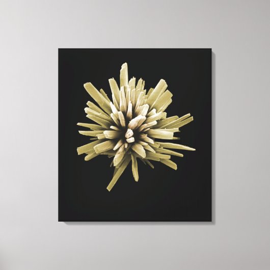 Detergent Crystal Leinwanddruck (Vorderseite)