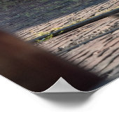 Detomaso Pantera Poster (Ecke)