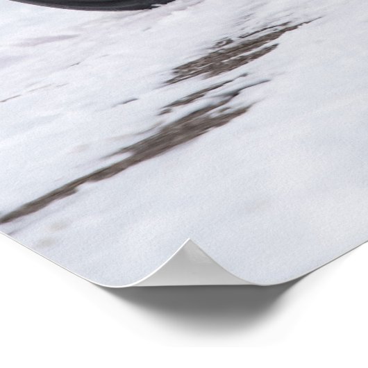 Detomaso Pantera Poster (Ecke)