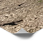 Detroit Lake, Oregon Poster (Ecke)