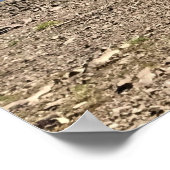 Detroit Lake, Oregon Poster (Ecke)