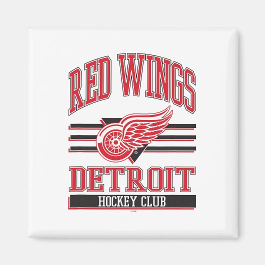 Detroit Red Wings Hockey Club Gray Officially Lice Magnet (Vorne)