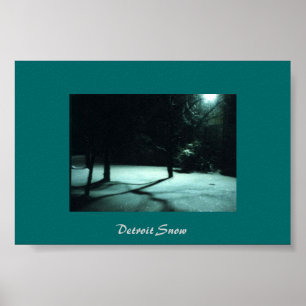 Detroit-Schnee Poster