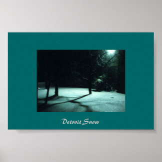 Detroit Snow Poster