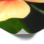 Detroit Zoo Poster (Ecke)