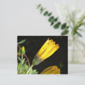 Deu auf einem Gelben Schwanz - Postkarte (Stehend Vorderseite)