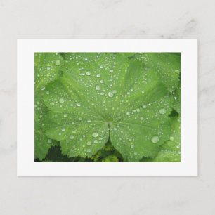 Deu auf einer grünen Leaf-Postkarte Postkarte