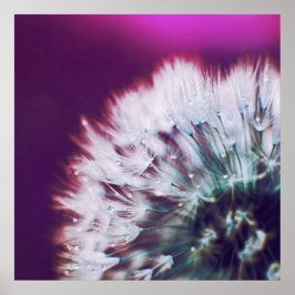 Deu auf Lila rosa Dandalion Macro Abstrakt Poster