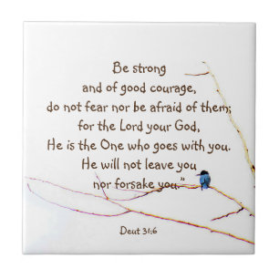 Deut 31:6 Du bist kein alleinbibeler Kingfisher Bi Fliese