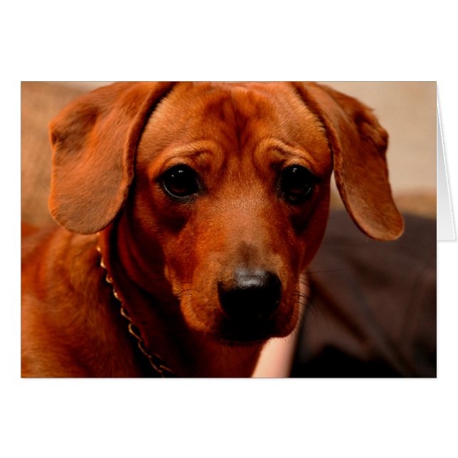 deuten (Vorderseite (Horizontal))