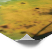 Deuteronomie 30:19 Schrift drucken Poster (Ecke)