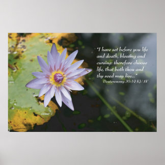 Deuteronomie 30:19 Schrift drucken Poster