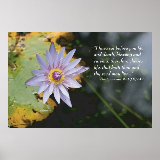 Deuteronomie 30:19 Schrift drucken Poster (Vorne)