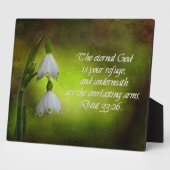 Deuteronomie 33:26 Ewige Zuflucht Inspiration Fotoplatte (Seite)