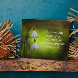 Deuteronomie 33:26 Ewige Zuflucht Inspiration Fotoplatte