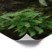 Deuteronomie 4:29 ~ Suche den Herrn Poster (Ecke)