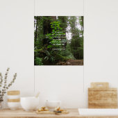 Deuteronomie 4:29 ~ Suche den Herrn Poster (Küche)