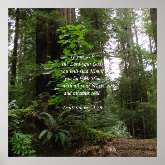 Deuteronomie 4:29 ~ Suche den Herrn Poster (Vorne)