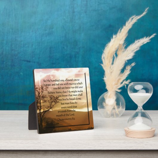 Deuteronomie 8:3 fotoplatte (InSitu)