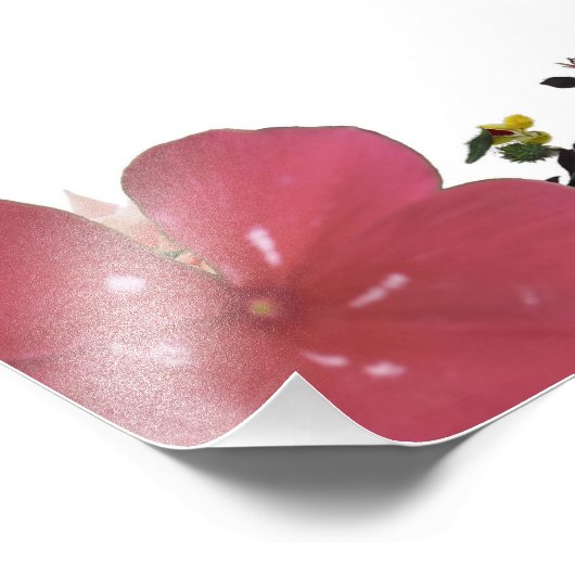 Deuteronomy 31, Do not be afraid Fotodruck (Ecke)