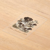 Deutsch Drahthaar  Acryleinladungen (Ablage )