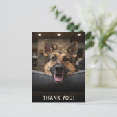 Deutsch Drahthaar Dankeschön Postkarte (Stehend Vorderseite)