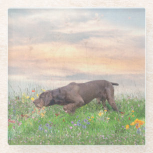 Deutsch Drahthaar Glasuntersetzer