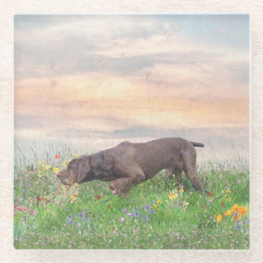 Deutsch Drahthaar Glasuntersetzer (Vorderseite)