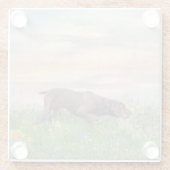 Deutsch Drahthaar Glasuntersetzer (Rückseite)