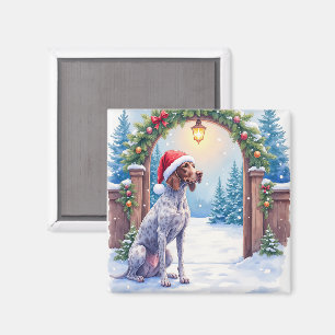 Deutsch Drahthaar Hund mit Weihnachtsmannmütze am  Magnet