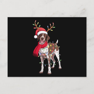 Deutsch Drahthaar Hund Weihnachtsgeweih Feiertagspostkarte