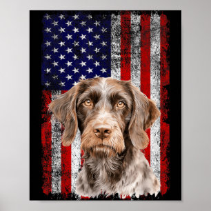 Deutsch Drahthaar Hundeliebhaber US Flagge 4. Poster