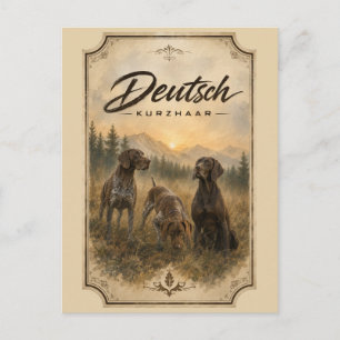 Deutsch Drahthaar - Jagdkollektion Postkarte