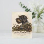 Deutsch Drahthaar - Jagdkollektion Postkarte (Stehend Vorderseite)
