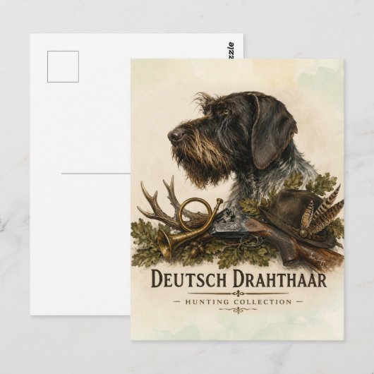 Deutsch Drahthaar - Jagdkollektion Postkarte (Vorne/Hinten)