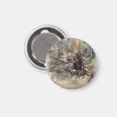 Deutsch Drahthaar Magnet (Vorderseite/Rückseite)