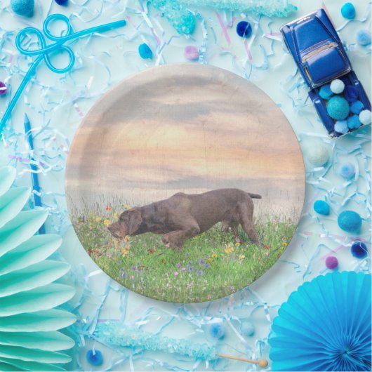 Deutsch Drahthaar Pappteller (Party)